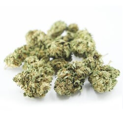 Bubba Kush Cannabis CBD - Fleurs CBD Bubba Kush Cannabis CBD - Fleurs CBD