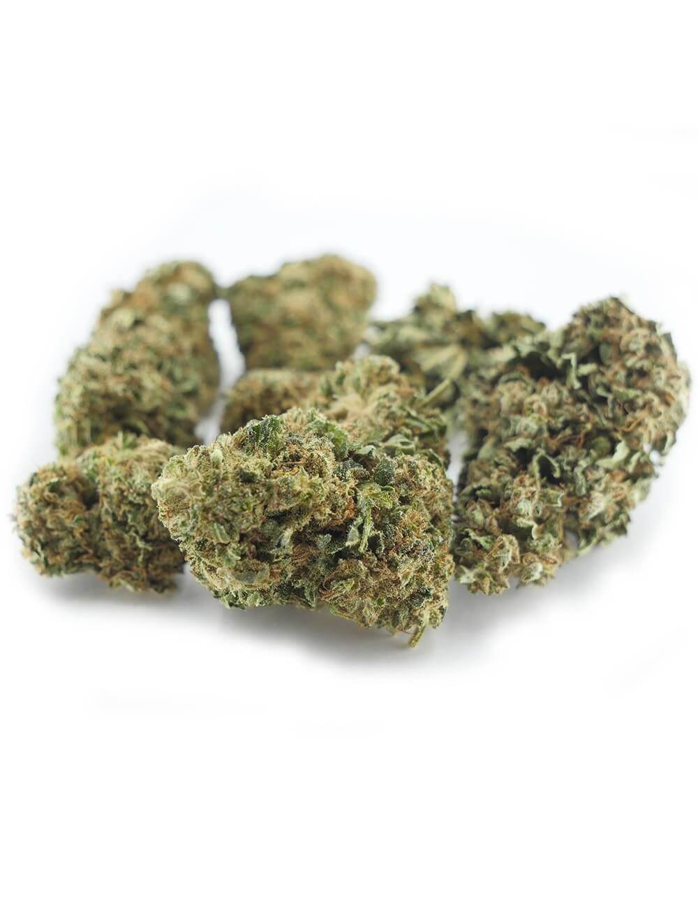 Fleur CBD greenhouse Blue Dream cannabis The Greenstore