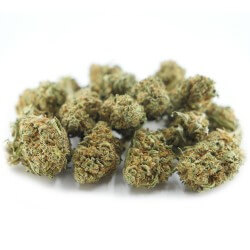 Strawberry Haze Cannabis CBD - Fleurs CBD Strawberry Haze Cannabis CBD - Fleurs CBD