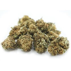Harlequin Cannabis CBD - Fleurs CBD Harlequin Cannabis CBD - Fleurs CBD