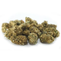 Therapy Cannabis CBD - Fleurs CBD Therapy Cannabis CBD - Fleurs CBD