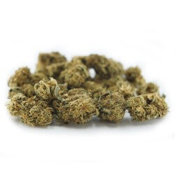 Sour Skunk 2 Cannabis CBD - Fleurs CBD