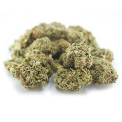 Strawberry Cannabis CBD - Fleurs CBD Strawberry Cannabis CBD - Fleurs CBD