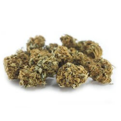 Critical Cannabis CBD - Fleurs CBD Critical Cannabis CBD - Fleurs CBD