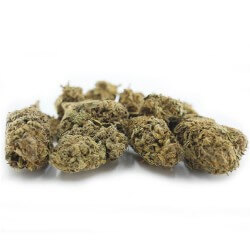 Amnesia Cannabis CBD - Fleurs CBD Amnesia Cannabis CBD - Fleurs CBD
