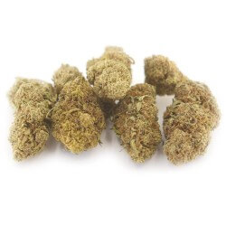 Bruce Banner Cannabis CBD - Fleurs CBD Bruce Banner Cannabis CBD - Fleurs CBD