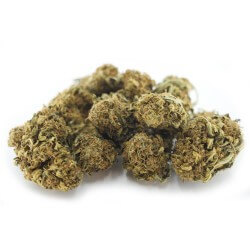 Sour Widow Cannabis CBD - Fleurs CBD Sour Widow Cannabis CBD - Fleurs CBD