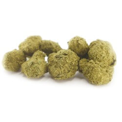 Green Rock Cannabis CBD - Fleurs CBD Green Rock Cannabis CBD - Fleurs CBD