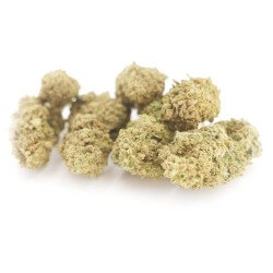 Hariboz Cannabis CBD - Fleurs CBD Hariboz Cannabis CBD - Fleurs CBD