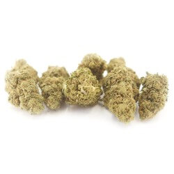 Skittlez Cannabis CBD - Fleurs CBD Skittlez Cannabis CBD - Fleurs CBD