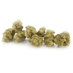 Blue Dream 2 Cannabis CBD - Fleurs CBD Blue Dream 2 Cannabis CBD - Fleurs CBD