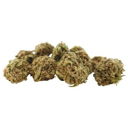 White Widow Cannabis CBD - Fleurs CBD White Widow Cannabis CBD - Fleurs CBD