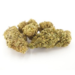 Vanilla Kush Cannabis CBD - Fleurs CBD Vanilla Kush Cannabis CBD - Fleurs CBD
