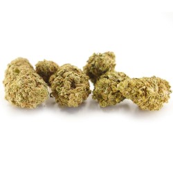 Watermelon Cookies Cannabis CBD - Fleurs CBD Watermelon Cookies Cannabis CBD - Fleurs CBD