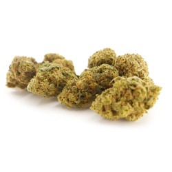 Strawberry Diesel Cannabis CBD - Fleurs CBD Strawberry Diesel Cannabis CBD - Fleurs CBD