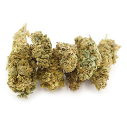 Fedtonic Cannabis CBD - Fleurs CBD Fedtonic Cannabis CBD - Fleurs CBD