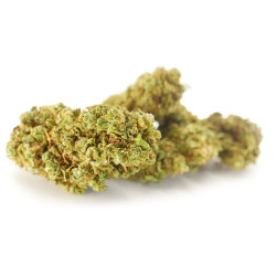 Sour Skunk 2 Cannabis CBD - Fleurs CBD Sour Skunk 2 Cannabis CBD - Fleurs CBD
