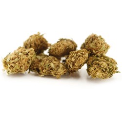 Cherry Pie Cannabis CBD - Fleurs CBD Cherry Pie Cannabis CBD - Fleurs CBD