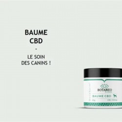 Baume CBD hydratant pour chiens Botabalm – Botaneo Baume CBD hydratant pour chiens Botabalm – Botaneo