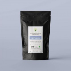 Infusion CBD bio Hiver Tranquille – Pop CBD Infusion CBD bio Hiver Tranquille – Pop CBD