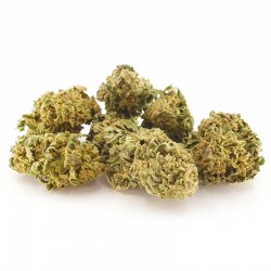 Mango Kush Cannabis CBD - Fleurs CBD Mango Kush Cannabis CBD - Fleurs CBD