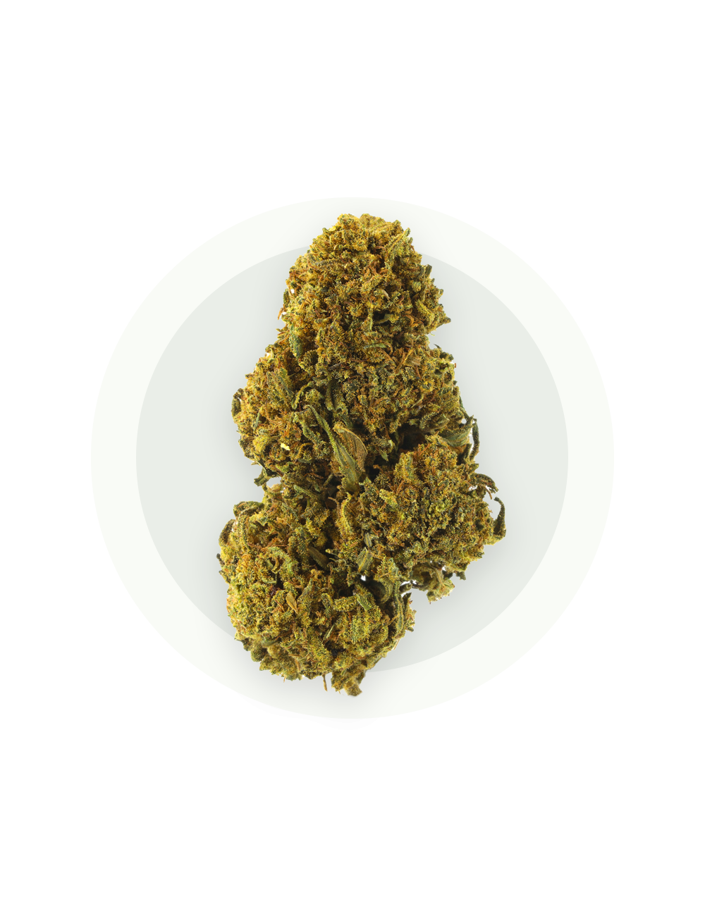 Tutti Frutti CBD - Fleurs CBD