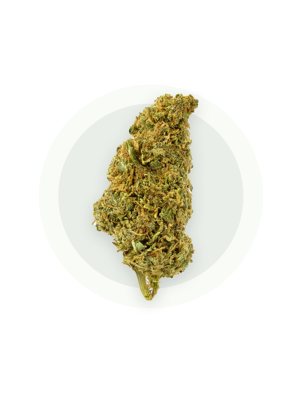 Super Lemon Haze CBD - Fleurs CBD
