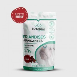 Friandises CBD pour chien goût bœuf – Botaneo Friandises CBD pour chien goût bœuf – Botaneo