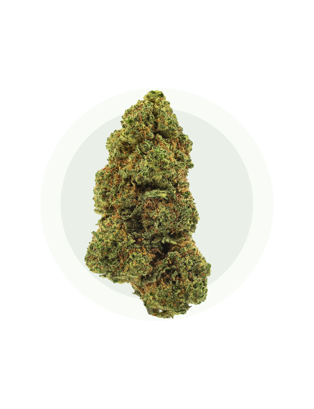 Tutti Frutti CBD - Fleurs CBD