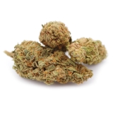 Skittlez Cannabis CBD - Fleurs CBD Skittlez Cannabis CBD - Fleurs CBD