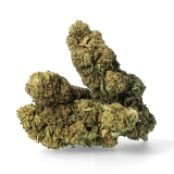 Amnesia Kush - Fleurs CBD Amnesia Kush - Fleurs CBD