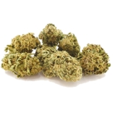Gommes à macher au CBD goût cassis 500 mg – Sun State Hemp Gommes à macher au CBD goût cassis 500 mg – Sun State Hemp