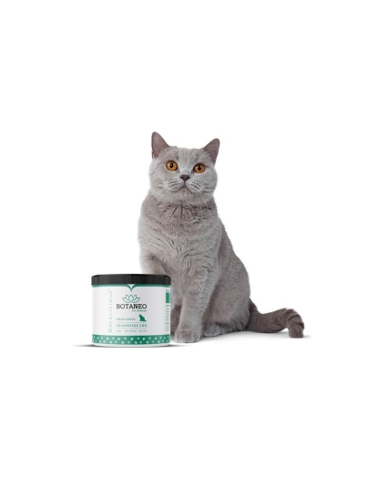 Friandise Pour Chat Combien Par Jour Friandises CBD et chanvre pour chat - The Greenstore