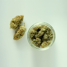 Fleurs CBD