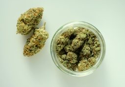 Fleurs CBD