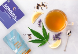 Infusions CBD