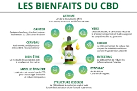 Bienfaits du CBD