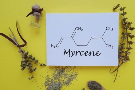 Terpène myrcene