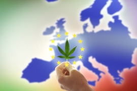 La consommation du CBD en Europe