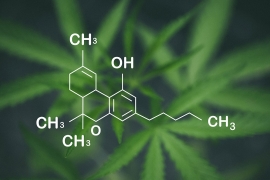 Le Hexahydrocannabinol