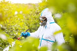 Les cannabinoïdes comme ingrédients dans les pesticides