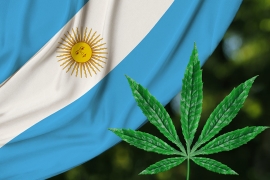 Cannabis en Argentine