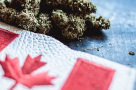 Le cannabis au Canada en 2023