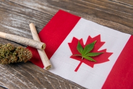 Cannabis legal en Canadá en 2025
