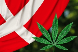 Le CBD en Suisse