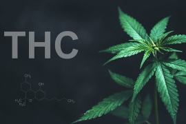 Arrêter la consommation de THC