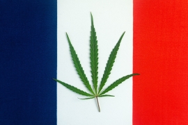 La consommation du CBD en France