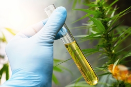 Les différences entre le H4CBD et le CBD