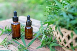 Différences entre huile de chanvre et huile CBD