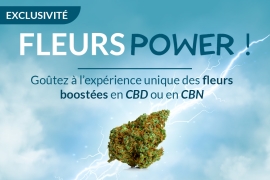 Fleurs CBD Power : c